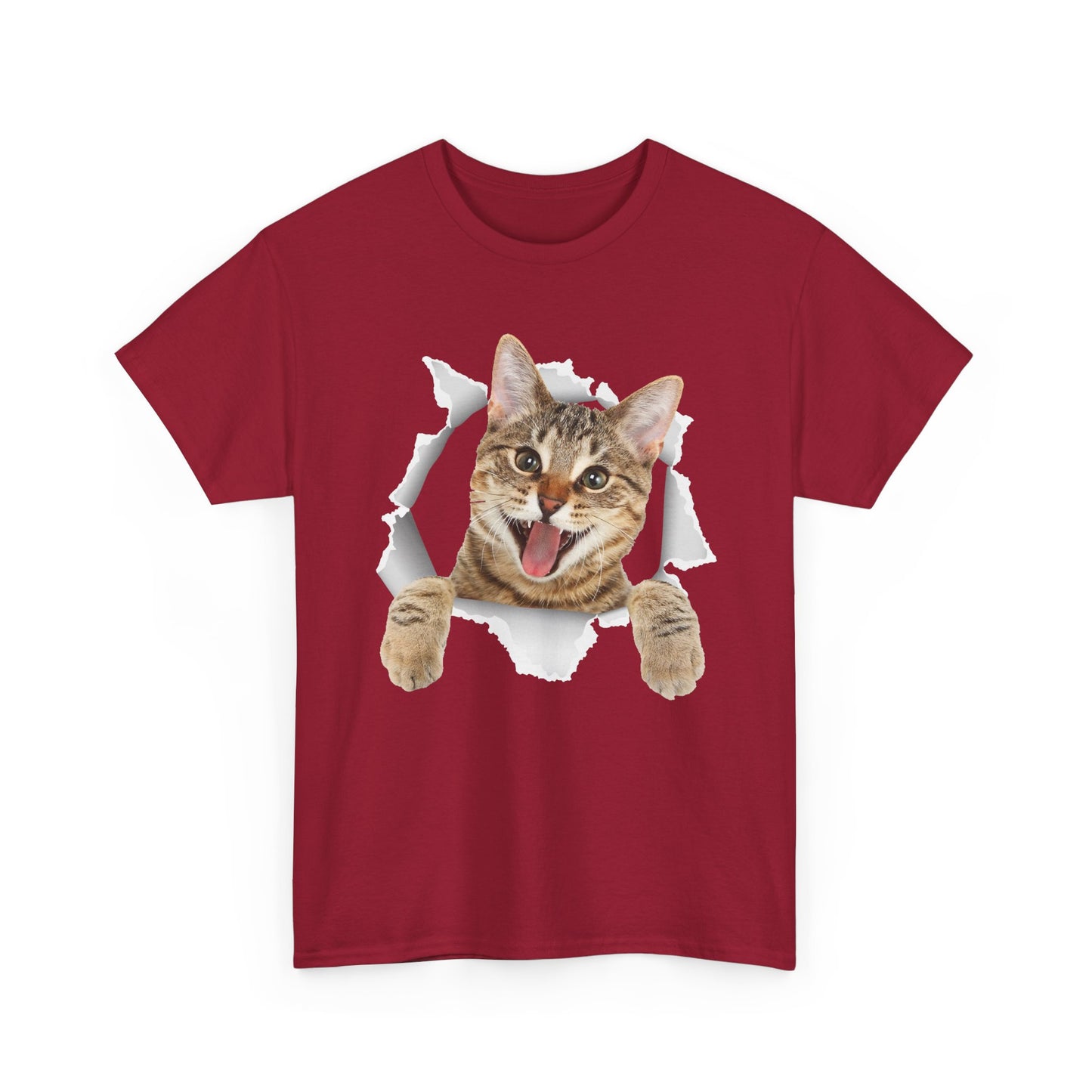 Cat T-Shirt, Cat Torn Cloth, Cats Owner Kitten Lovers Gifts Women Men Cute Shirt