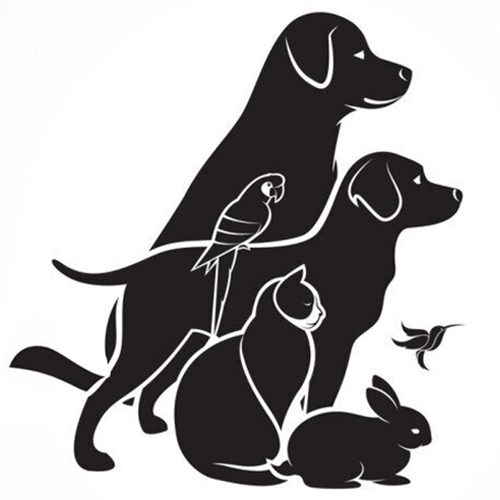 Animals & Pets