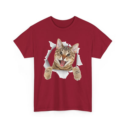 Cat T-Shirt, Cat Torn Cloth, Cats Owner Kitten Lovers Gifts Women Men Cute Shirt