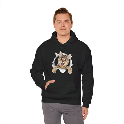 Cat Hoodie, Cat Torn Cloth, Cats Owner Kitten Lovers Gifts Women Men Cute Hoodie