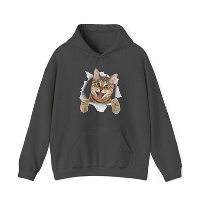 Cat Hoodie, Cat Torn Cloth, Cats Owner Kitten Lovers Gifts Women Men Cute Hoodie