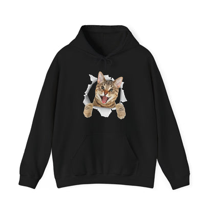 Cat Hoodie, Cat Torn Cloth, Cats Owner Kitten Lovers Gifts Women Men Cute Hoodie