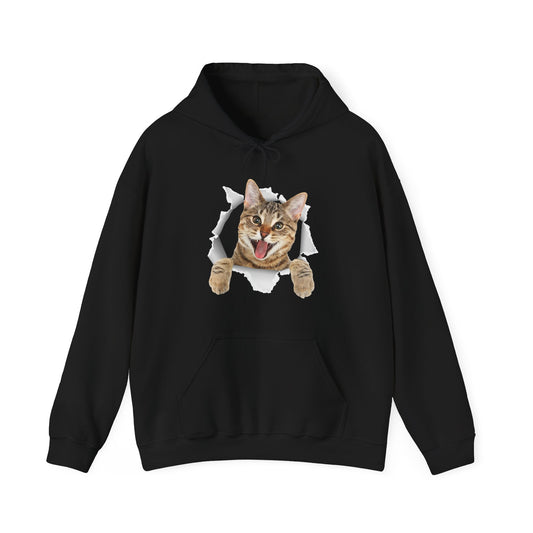 Cat Hoodie, Cat Torn Cloth, Cats Owner Kitten Lovers Gifts Women Men Cute Hoodie