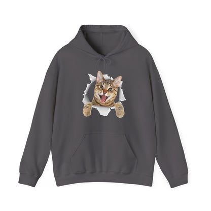 Cat Hoodie, Cat Torn Cloth, Cats Owner Kitten Lovers Gifts Women Men Cute Hoodie