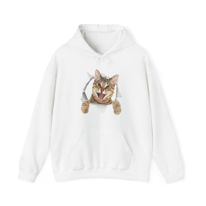 Cat Hoodie, Cat Torn Cloth, Cats Owner Kitten Lovers Gifts Women Men Cute Hoodie